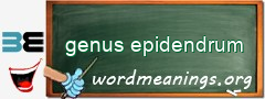 WordMeaning blackboard for genus epidendrum